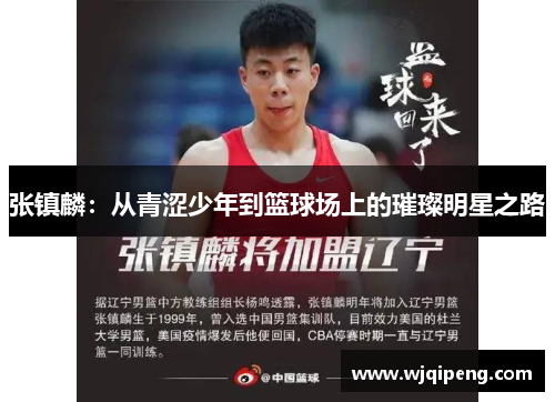 张镇麟：从青涩少年到篮球场上的璀璨明星之路